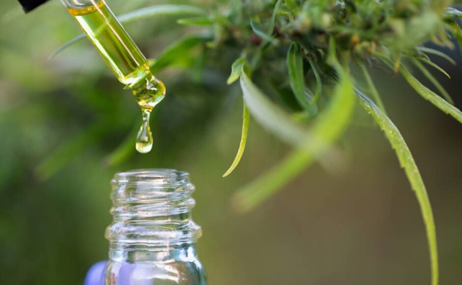 Tout ce que vous devez savoir sur le CBD avant de le consommer